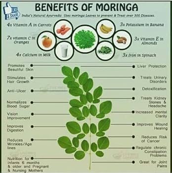 🌿 EnergyRoots – 100% Pure Moringa