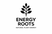 Energy Roots - Home